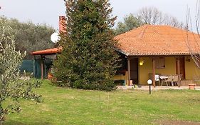 Olympos House